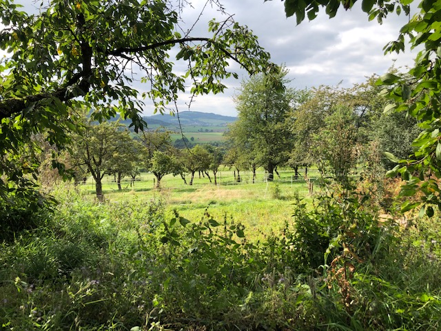 Zeremonialwoche: Blick ins Ulstertal